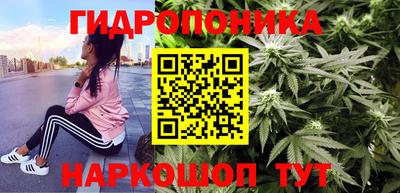 СК Нальчик