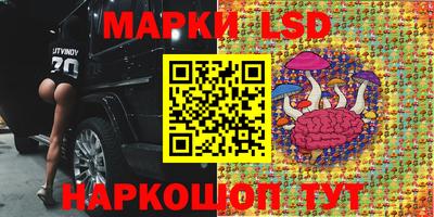 винт Нарткала